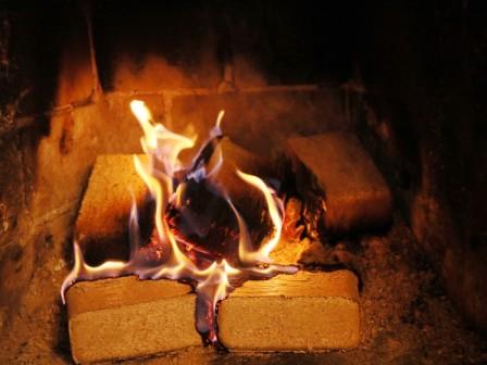 holz_brikett komprimiert